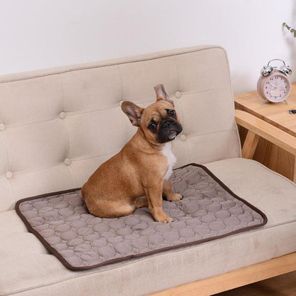 Dog Cooling Mat Cooling Pad for Pets Chilly Pad for Kennels, Crates, Cars, Indoor & Outdoor Ice Silk Mat Cooling Blanket Cushion Non-Toxic Breathable Sleep Bed Beach
